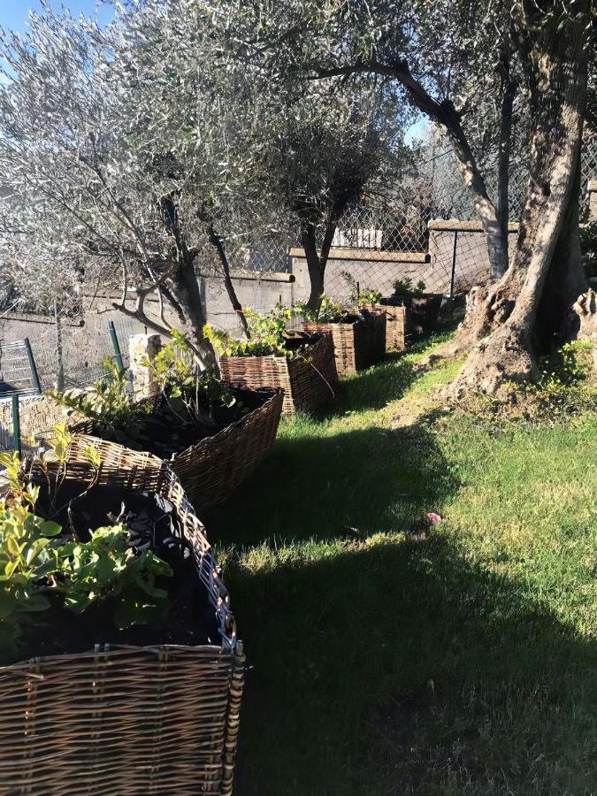 Agriturismo Le Pale 2 Swimming Pool And Parking بولياسكو المظهر الخارجي الصورة