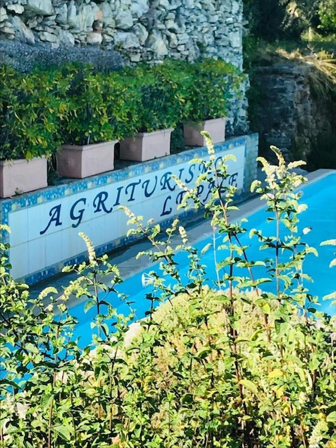Agriturismo Le Pale 2 Swimming Pool And Parking بولياسكو المظهر الخارجي الصورة