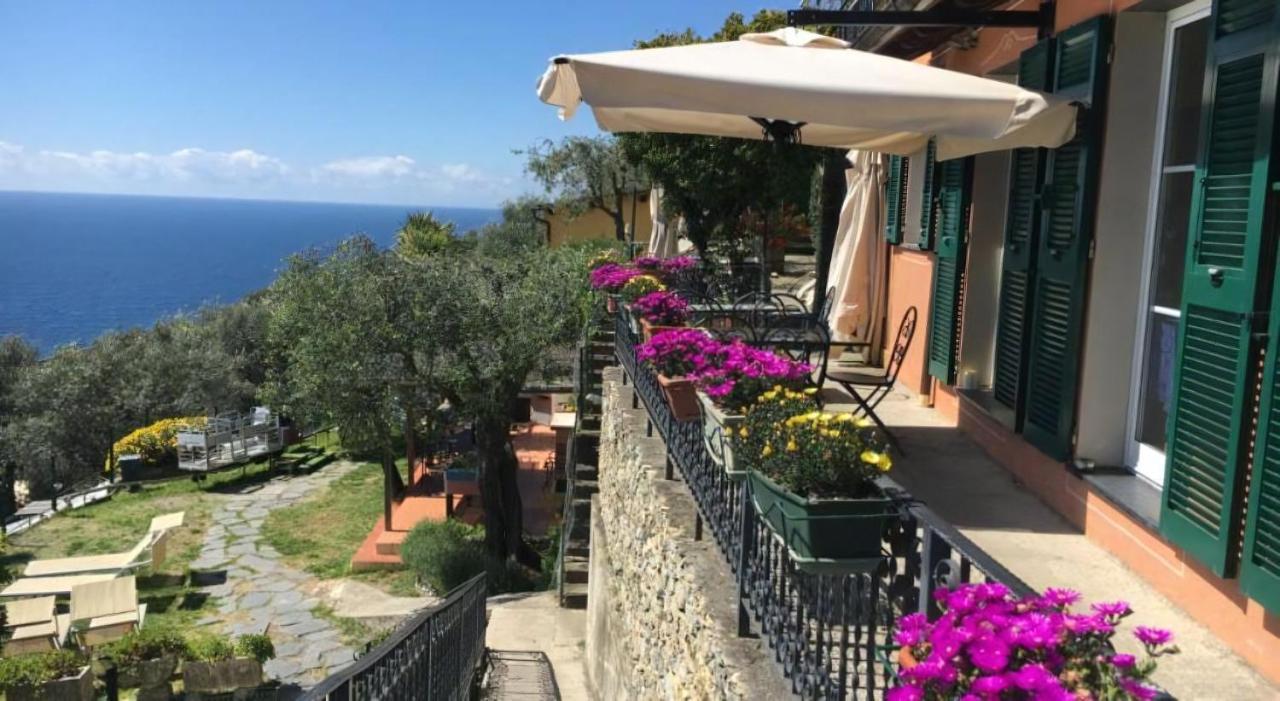 Agriturismo Le Pale 2 Swimming Pool And Parking بولياسكو المظهر الخارجي الصورة
