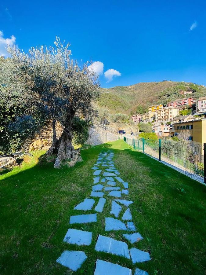 Agriturismo Le Pale 2 Swimming Pool And Parking بولياسكو المظهر الخارجي الصورة